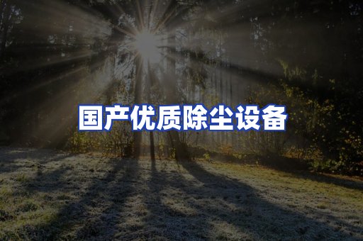 国产优质除尘设备