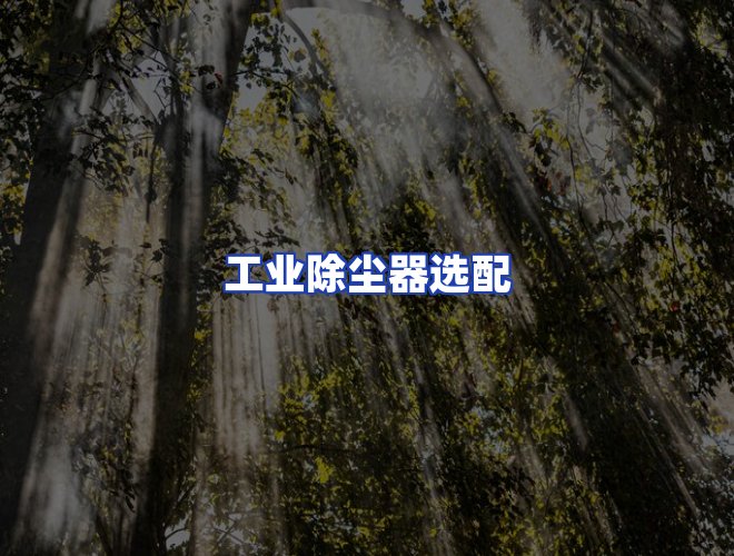 专业团队